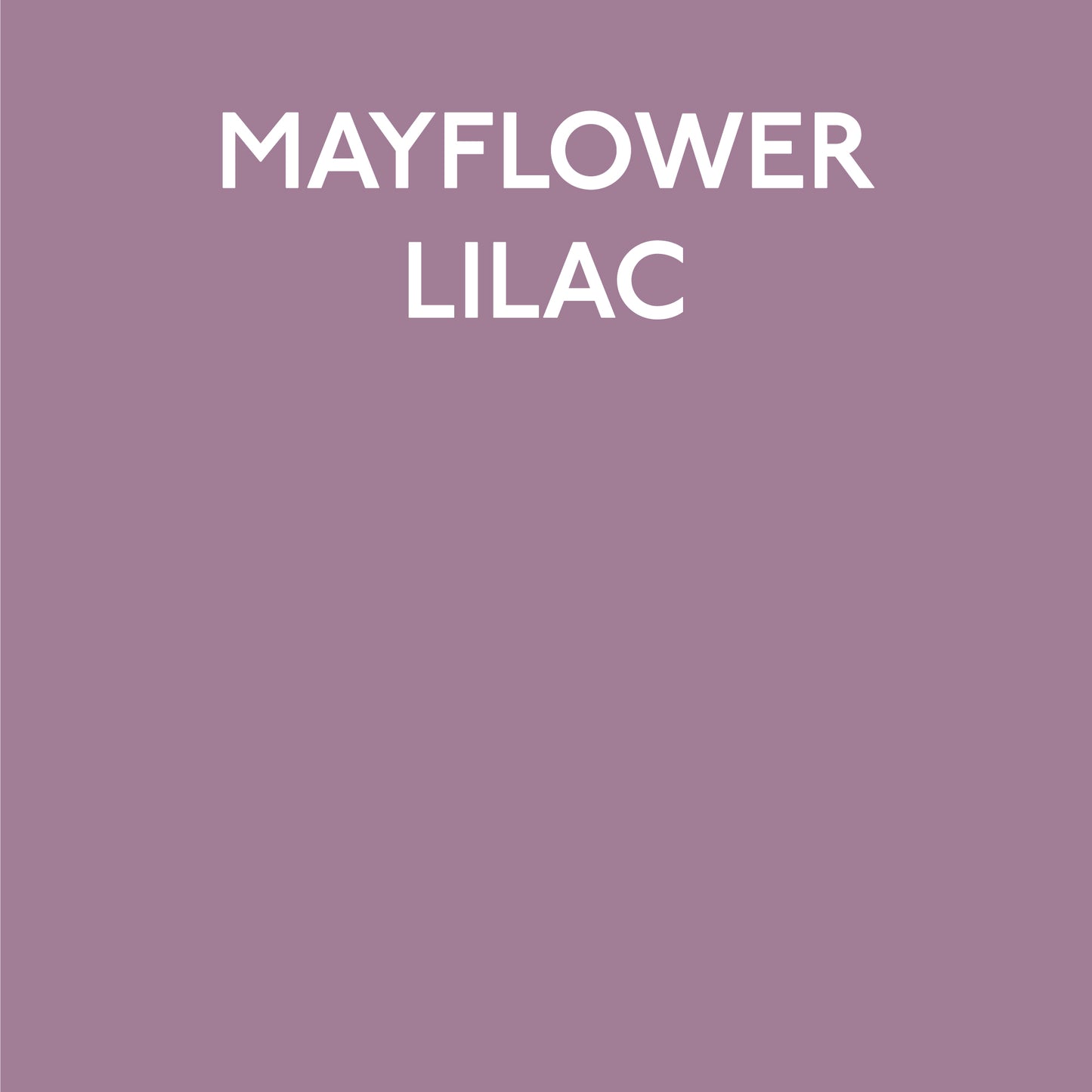 Mayflower Lilac Swatch
