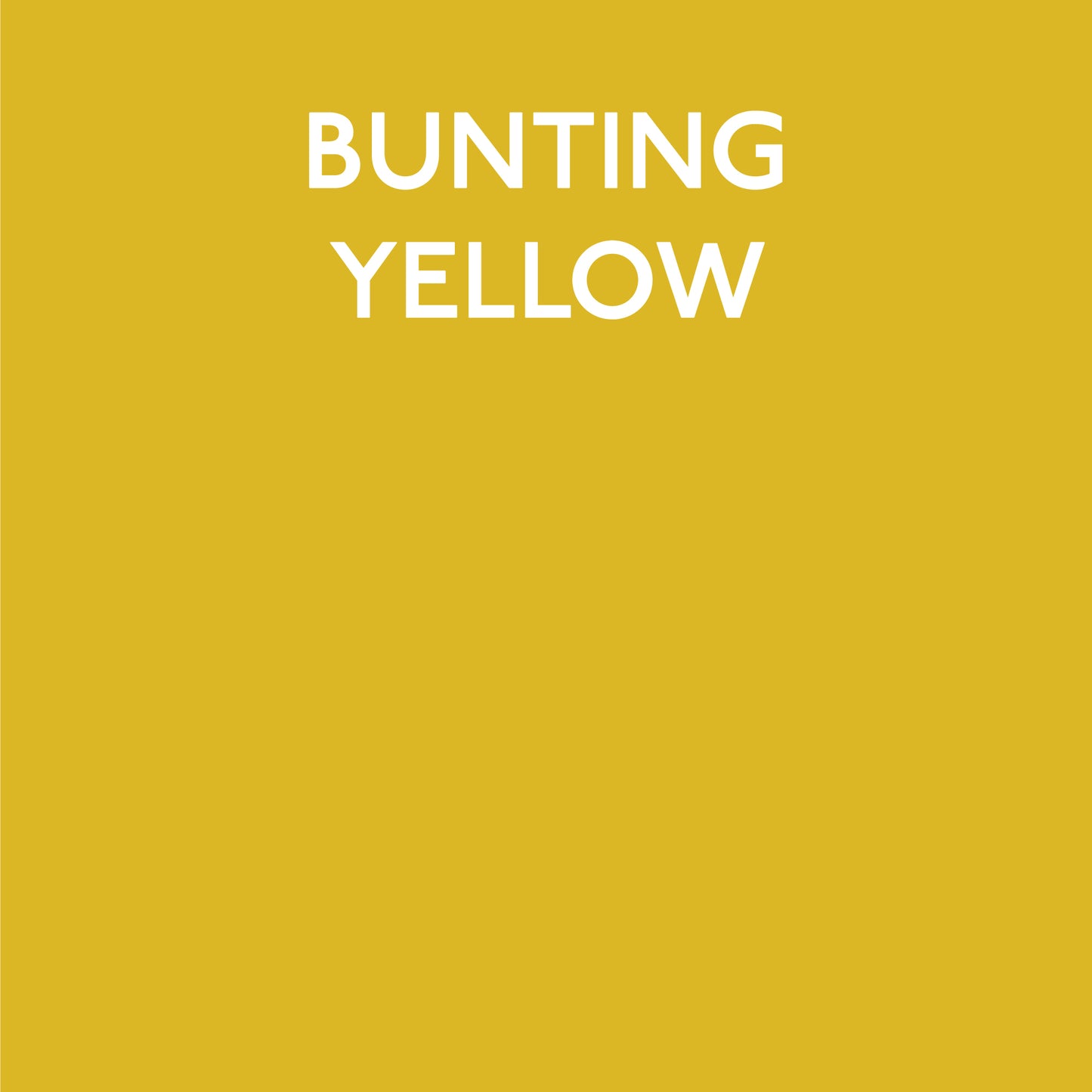 Bunting Yellow Swatch