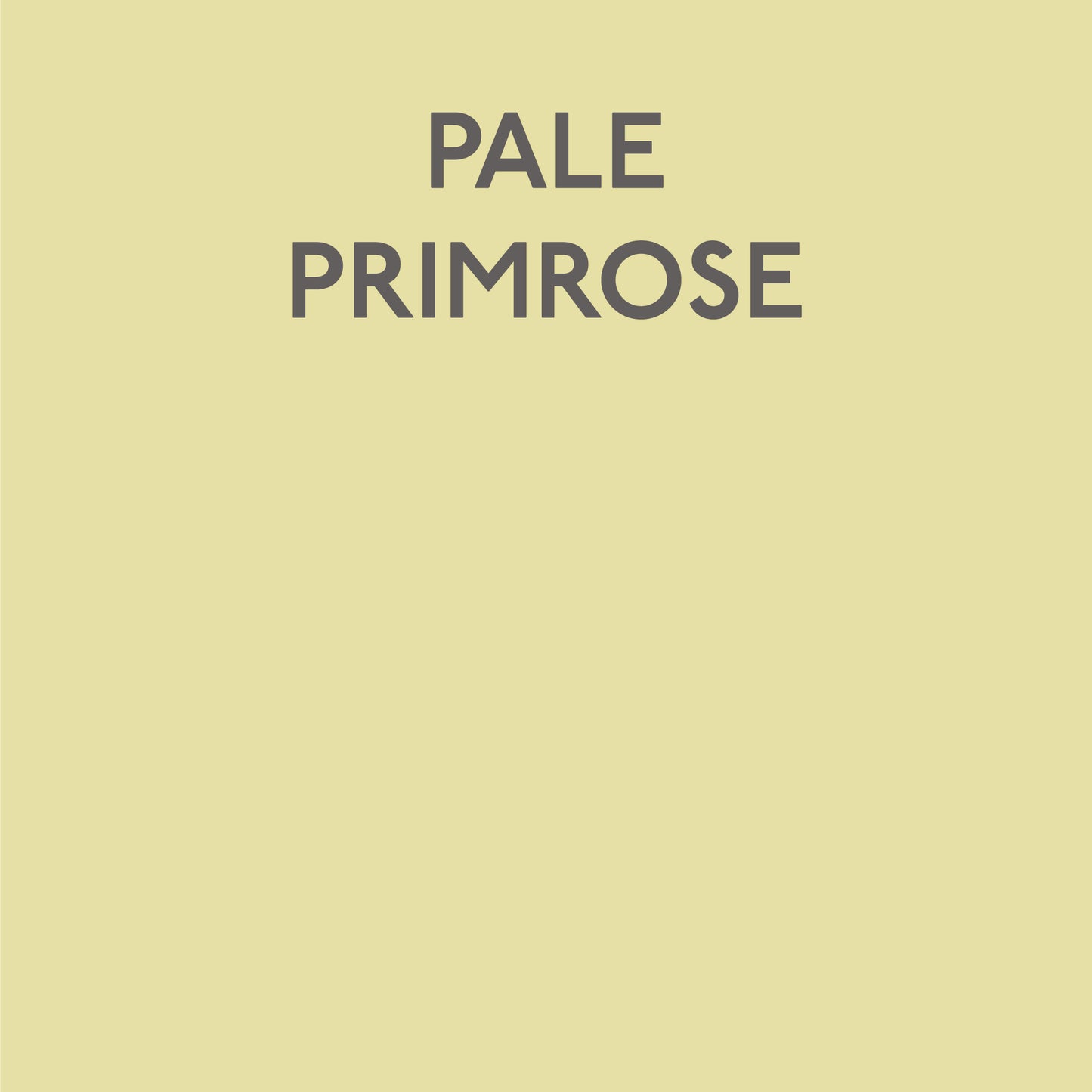 Pale Primrose Swatch
