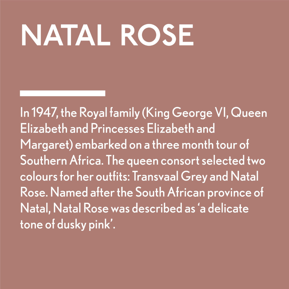 Natal Rose Story Swatch
