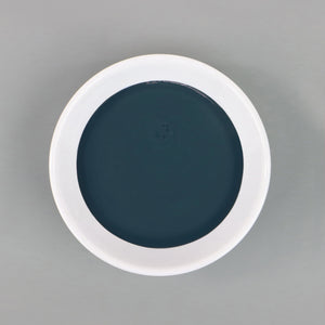 
                      
                        Dish with Bleo river blue paint poured in
                      
                    
