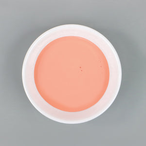 
                      
                        Dish with Bleo coral paint poured in
                      
                    