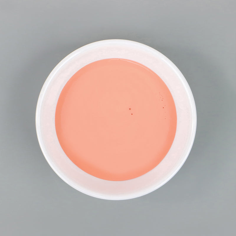 Dish with Bleo coral paint poured in