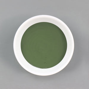 
                      
                        Dish with Bleo forest green paint poured in
                      
                    