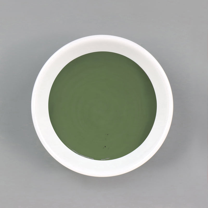 Dish with Bleo forest green paint poured in