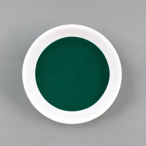 
                      
                        Dish with Bleo dark emerald paint poured in
                      
                    
