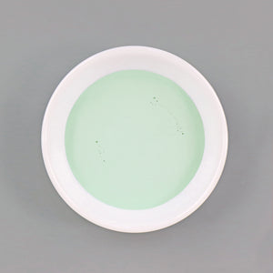 
                      
                        Dish with Bleo aquamarine paint poured in
                      
                    