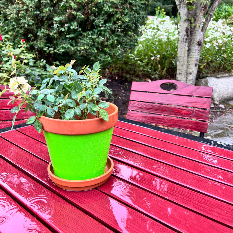Green pot with a plant on a red table outdoors