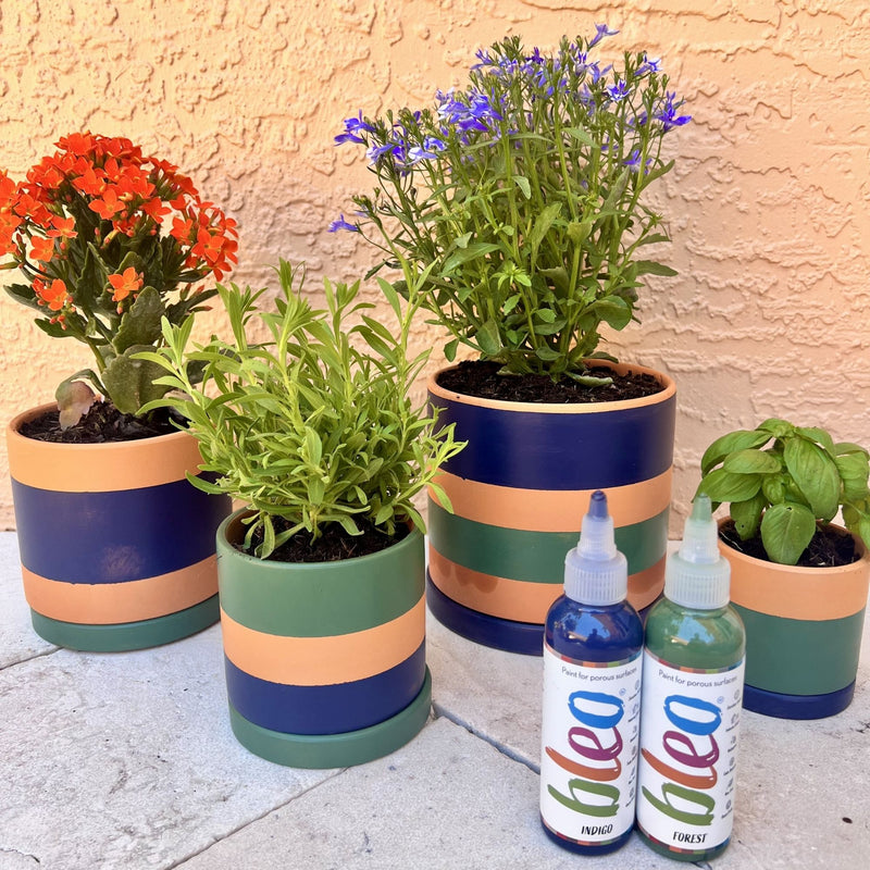 Colourful striped planters with plants and two bottles of Bleo on a stone surface.