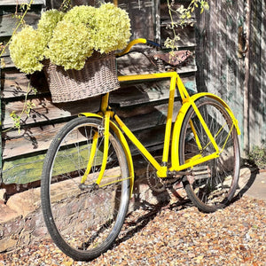
                      
                        bunting yellow on bike
                      
                    