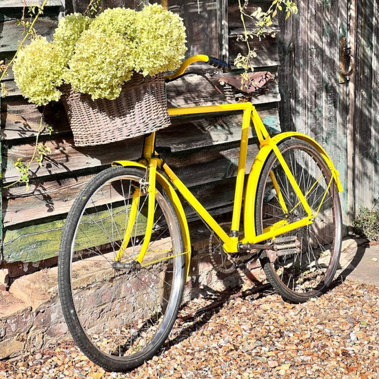 bunting yellow on bike