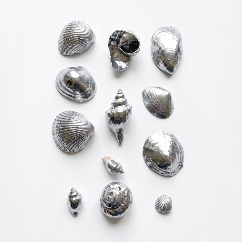 Collection of silver seashells painted in metallic chrome mirror silver on a white background
