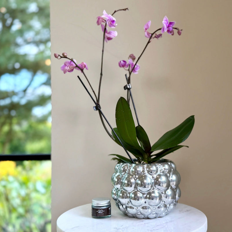 Chrome silver painted textured bobbly flower pot 