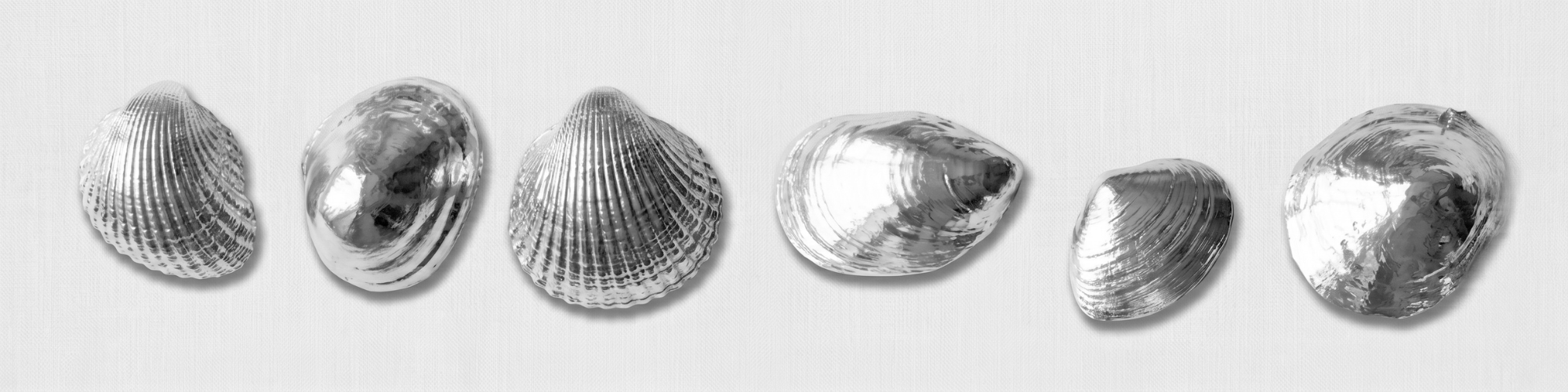 Chrome mirror metallic painted shells on a white background
