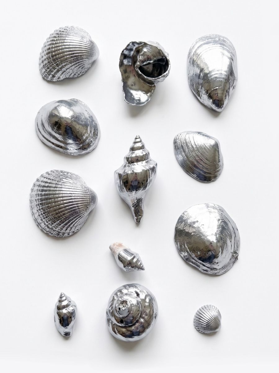 Chrome mirror metallic painted shells on a white surface