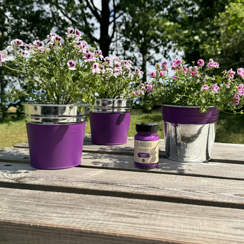 Potted plants with painted Elizabeth purple and silver pots on a wooden surface outdoors.