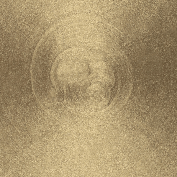 soft champagne metallic gold colour