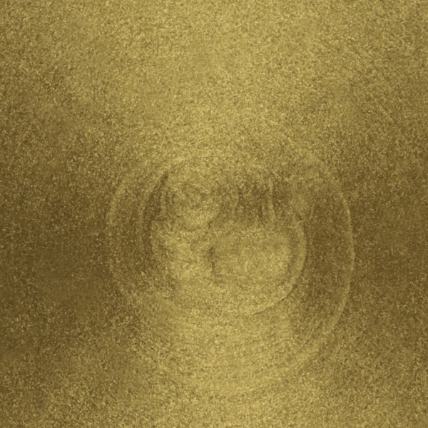 antique gold metallic colour