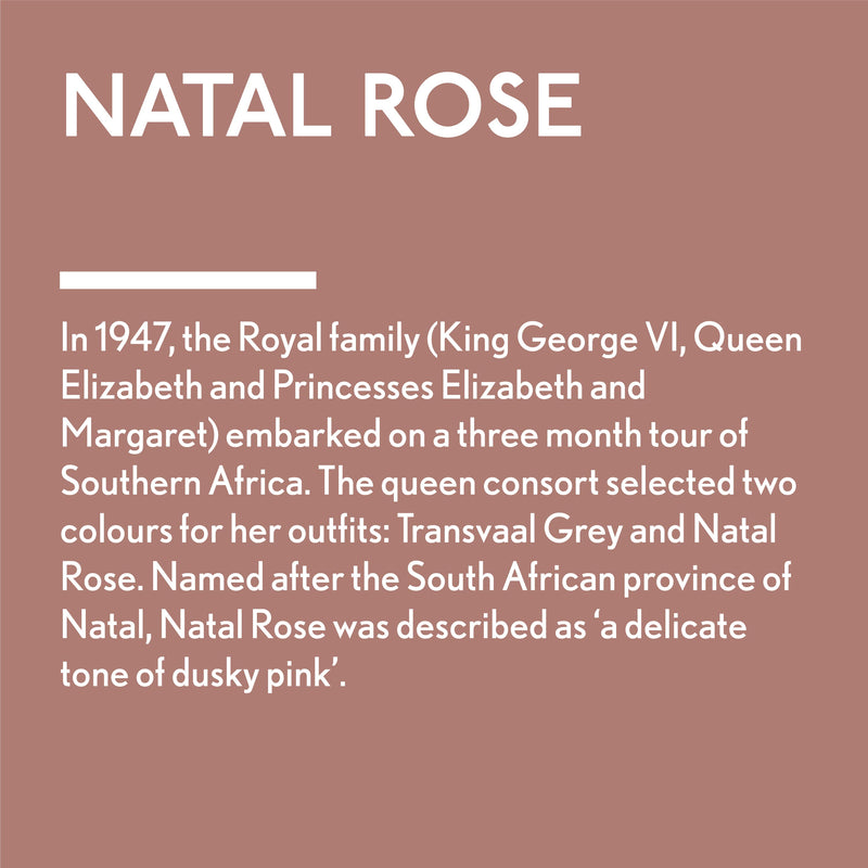 Natal rose heritage explanation and story of the 1940s Jubilee voyage