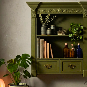 
                      
                        Light bronze green painted cabinet with old books and plants around it
                      
                    