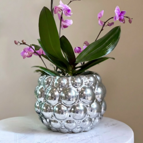 A potted orchid with green leaves and pink-purple flowers in a shiny silver bubble-textured ceramic pot, displayed on a white marble surface against a beige background.