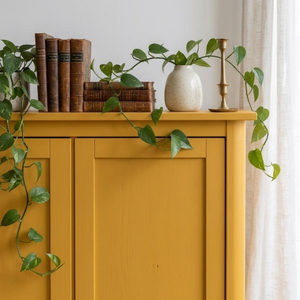 
                      
                        Close up of a cabinet painted in Oxford Ochre paint with a trailing plant hanging over the edge
                      
                    