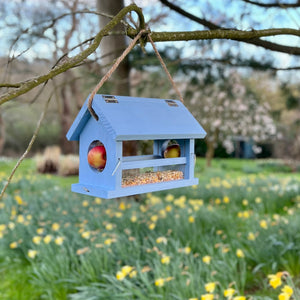 
                      
                        pale roundel blue on birdbox
                      
                    
