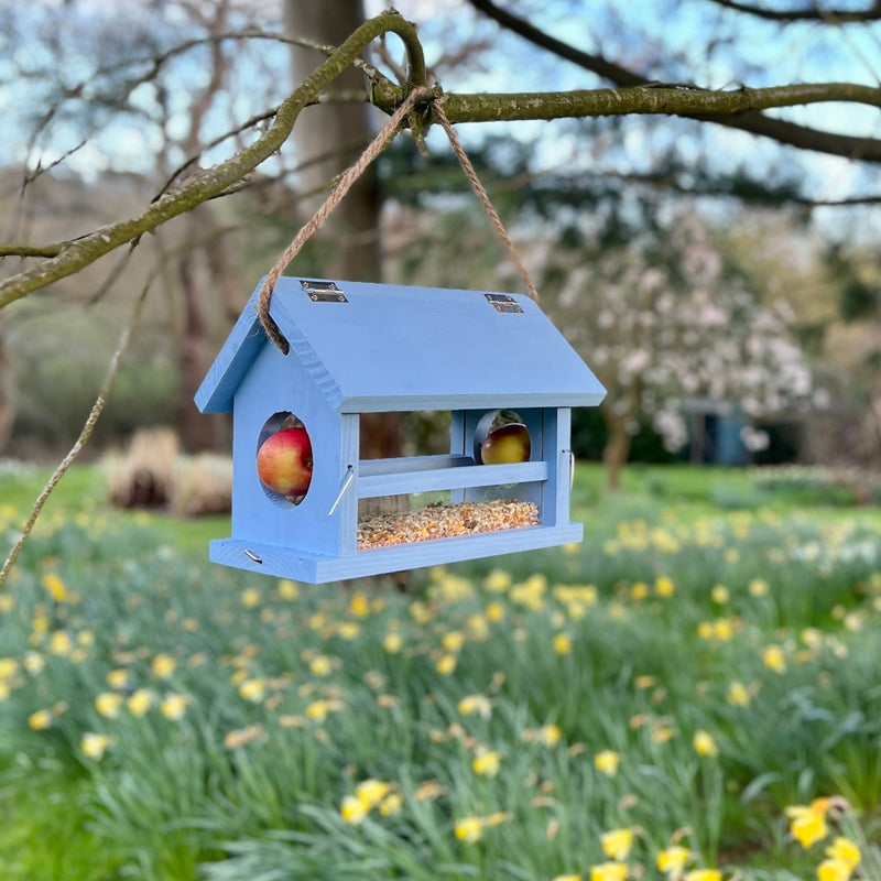 pale roundel blue on birdbox