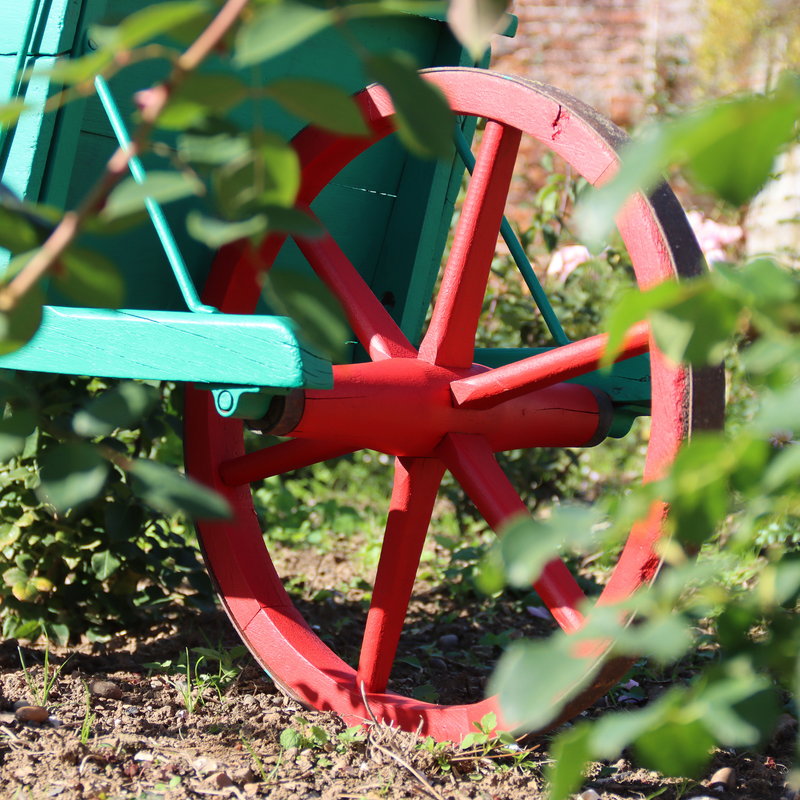 Colourful wheelbarrow in a garden setting with greenery