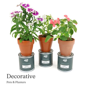 
                      
                        Three potted plants on top of three paint cans with 'Decorative Pots & Planters' text.
                      
                    