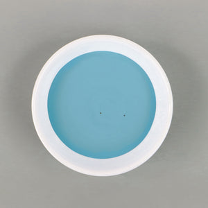 
                      
                        Dish with Bleo cerulean paint poured in
                      
                    