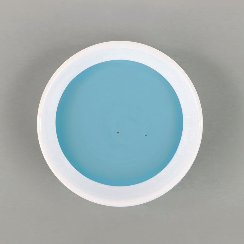 Dish with Bleo cerulean paint poured in