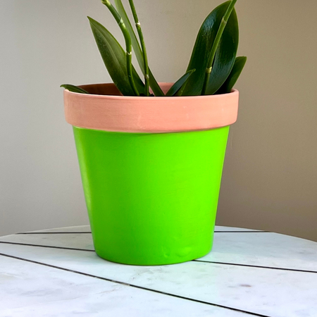 A terracotta pot painted in Bleo Apple Green