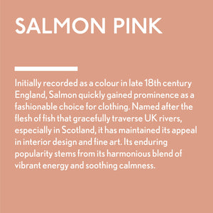 
                      
                        Salmon Pink Paint Colour Square with colour story
                      
                    