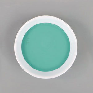 
                      
                        Dish with Bleo siren green paint poured in
                      
                    