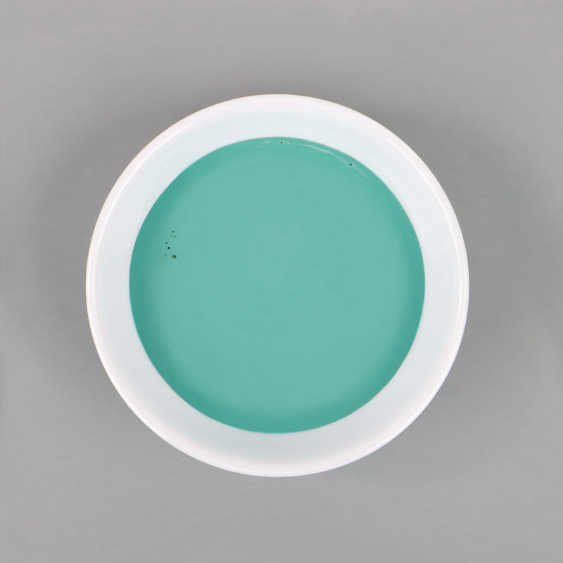 Dish with Bleo siren green paint poured in