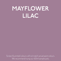 Mayflower Lilac