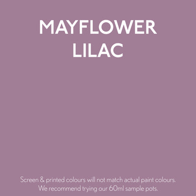 Mayflower Lilac