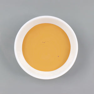 
                      
                        Dish with Bleo mustard paint poured in
                      
                    