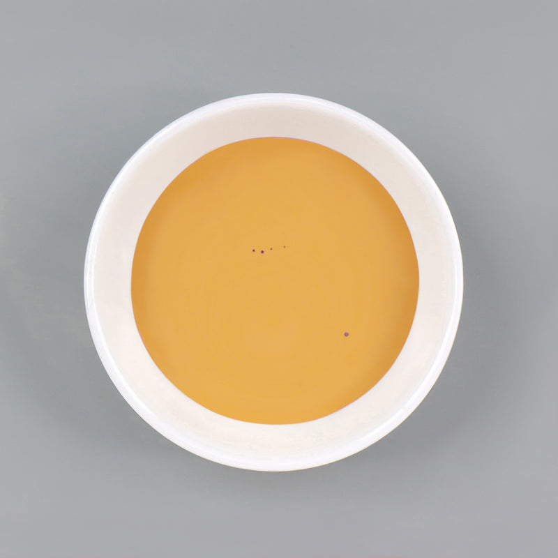 Dish with Bleo mustard paint poured in
