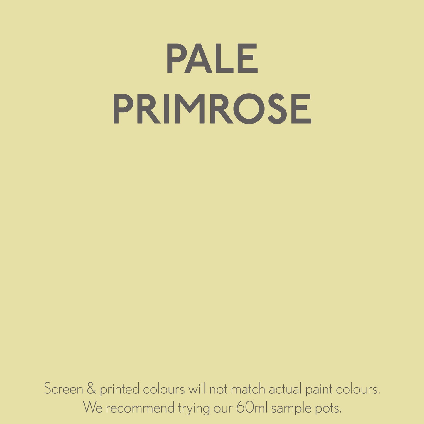 Pale Primrose