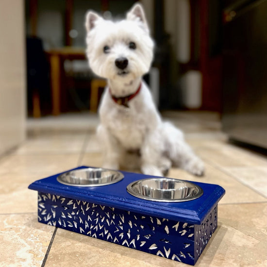oxford blue on dog bowl