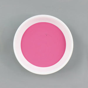 
                      
                        Dish with Bleo fuchsia paint poured in
                      
                    